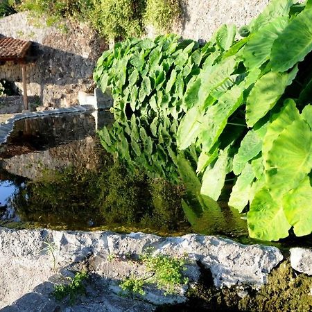 Apartamento En El Sauzal Appartamento Montaneta Esterno foto